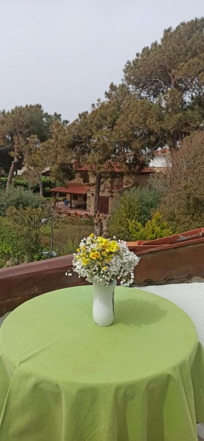 Tas Motel